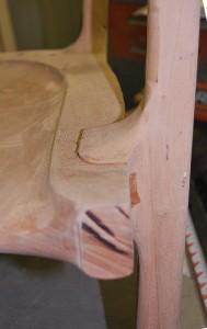 Front Leg Joint